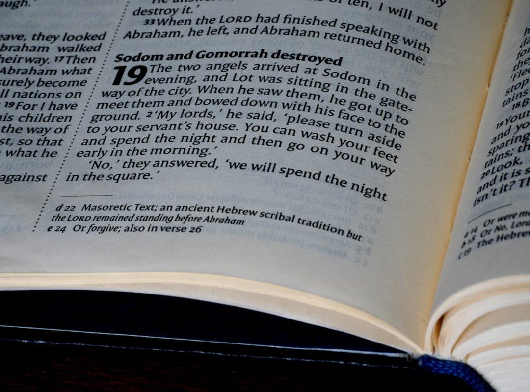 Discovering Our Backyard: A Guide to the Wildlife of Tamil Nadu