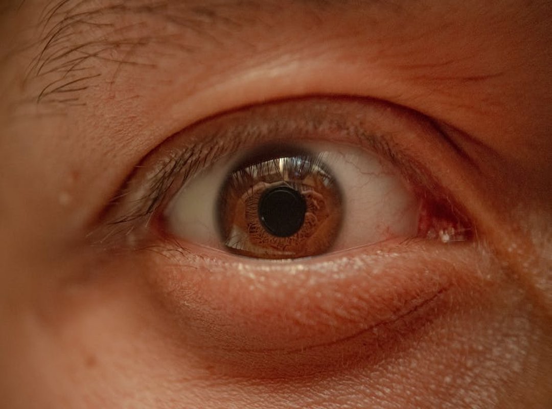 The Quiet Portrait: Emotion in Micro-Expressions