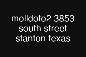 molldoto2 3853 south street stanton texas