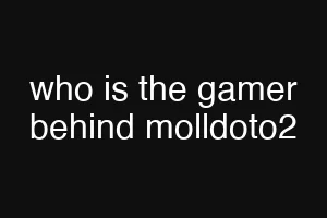 who is the gamer behind molldoto2